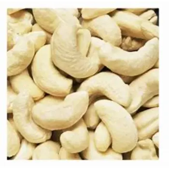 Natural W210 Cashew Nuts